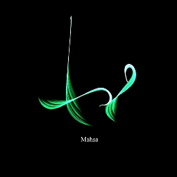 مهسا صالحی