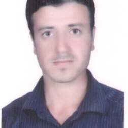 فواد امینی